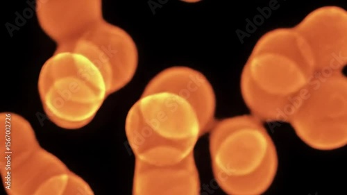 Abstract orange blobs move and merge against a black background gently