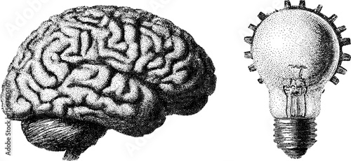 Vintage dotwork sketch of brain with light bulb and cogwheel for creative design