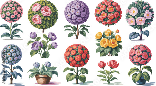 Diverse collection of vibrant flowering topiary trees and potted plants, perfect for garden design, botanical illustrations, and decorative spring and summer projects.