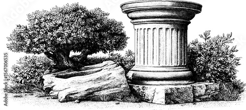 Vintage sketch of overgrown courtyard with broken pillar stump and foliage