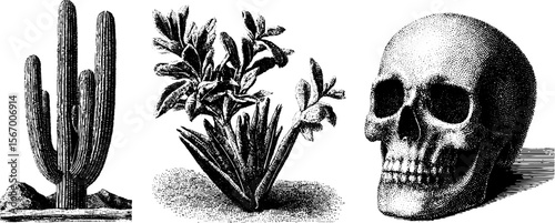 Vintage cactus and skull dotwork design for retro art and tattoos