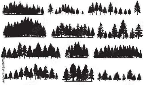 Fir trees silhouettes set. Coniferous spruce horizontal background patterns, black evergreen woods vector illustration. Beautiful hand drawn panorama with treetops forest. Black pine woods