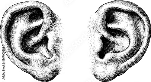 Vintage ear silhouette with line and dotwork for tattoo design