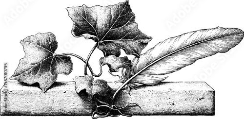 Vintage gravestone with ivy and crow feather sketch for retro design