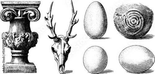 Vintage hand-drawn engraving of architectural column, deer skull, and eggs for design projects