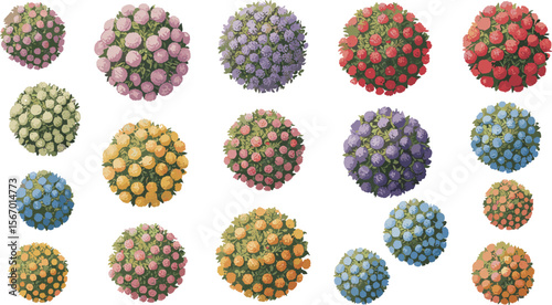 Top view architectural flowering bushes in various vibrant colors, ideal for landscape plan designs