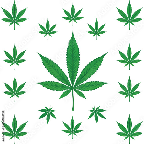 Cannabis leaf pattern green leaves white background