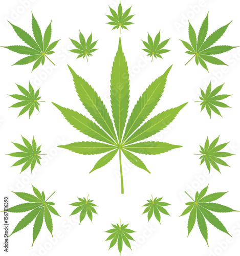 Cannabis leaf pattern green leaves white background