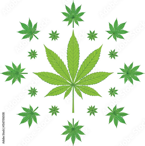 Cannabis leaf mandala green leaves white background