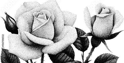 Dotwork roses and thorns with dewdrops for vintage tattoo design