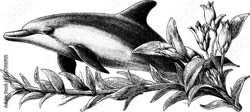 Vintage hand drawn silhouette of dolphin with sea whip and eelgrass scene for retro decor