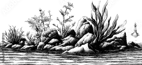 Seaside nature scene with shattered dock and kelp in hand drawn vintage style