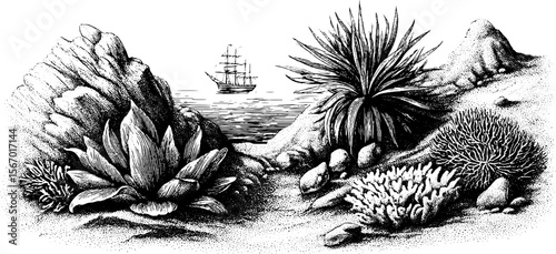 Vintage coastal scene with ship, rocks, and kelp engraving for nautical design