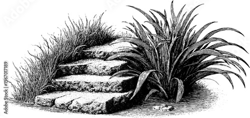 Vintage sketch of silted canal bend with crumbling edge and steps for retro design projects