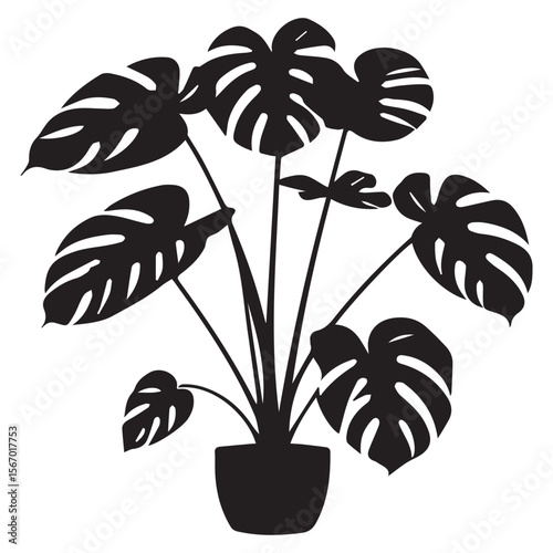 Black silhouette of a monstera deliciosa plant in a pot on a white background