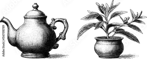 Vintage tea kettle with herbal leaf sketch for kitchen decor and design