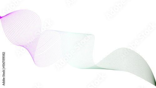 Vector curvy abstract line art wavy flowing dynamic colorful lines white background in concept music or sound, wave, wind, information flow	
