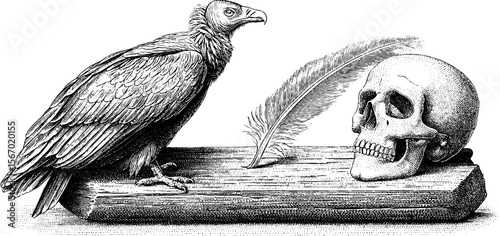Vulture perched on ruined beam with skull and feather in vintage engraving style