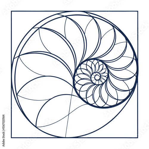 Intricate radial mandala design featuring a cat illustration created with clean line art and path symmetry showcasing a balanced and detailed symmetrical pattern in black