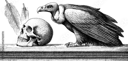 Vintage vulture and skull sketch on ruined beam with feathers
