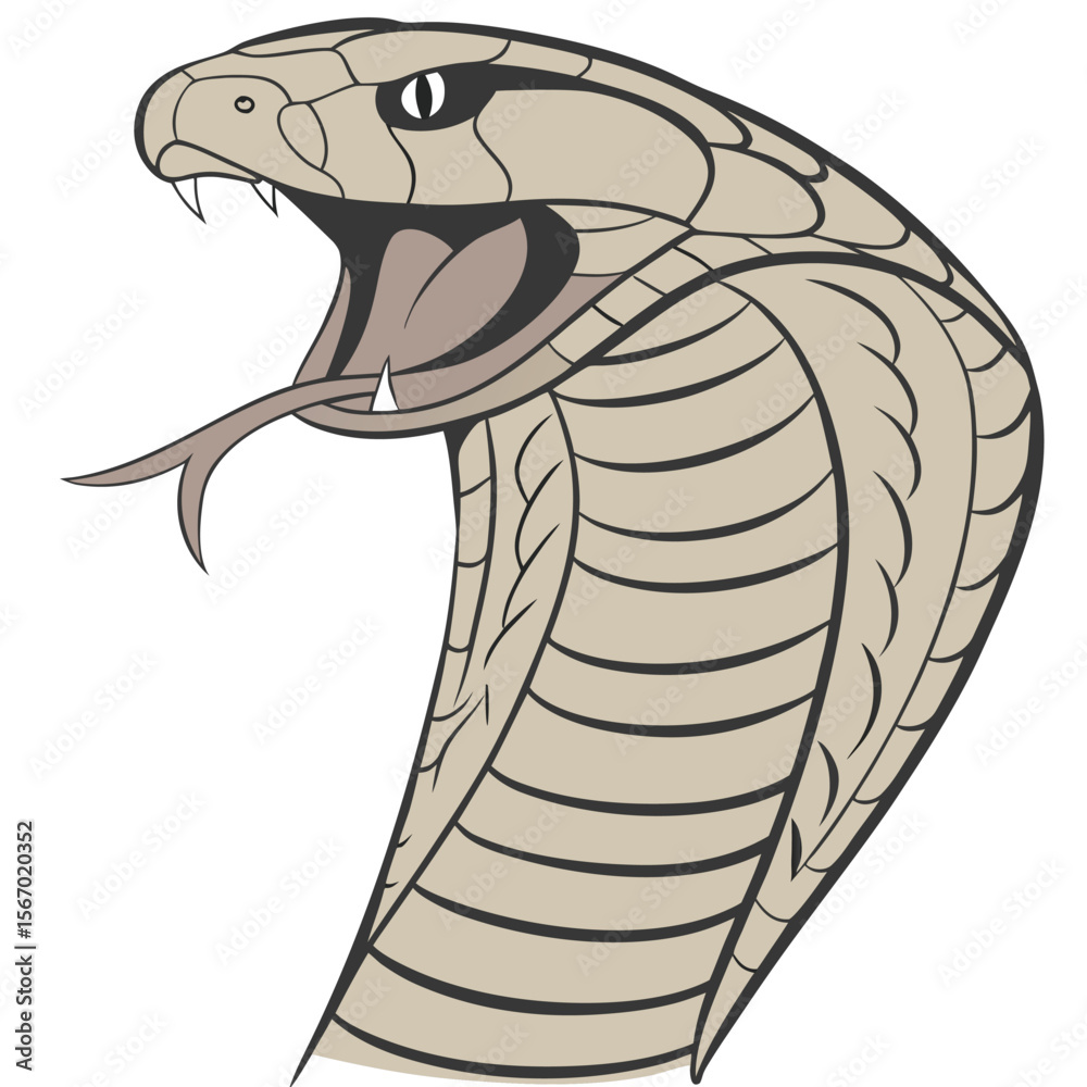 Fototapeta premium Detailed cobra head illustration a striking realistic depiction of a cobra s face viewed directly from the front showcasing its wide hood and intricate scale