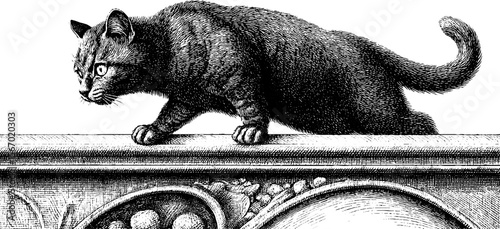 Watchful cat on architectural edge with twitching tail in vintage sketch