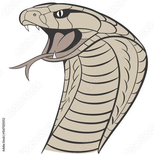 Detailed cobra head illustration a striking realistic depiction of a cobra s face viewed directly from the front showcasing its wide hood and intricate scale