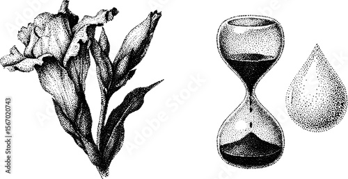 Vintage sketch of wilted flower with hourglass and raindrop engraving for retro design