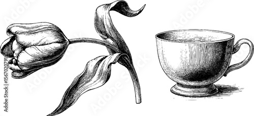 Vintage hand drawn wilted tulip and teacup with lace cloth design for retro decor