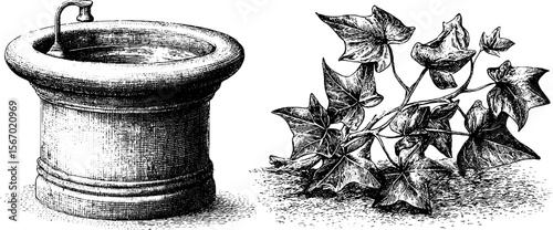 Vintage wishing well and ivy sketch with coin ripple effect for retro design