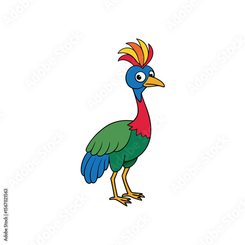 Cassowary Bird Color Illustration on White Base