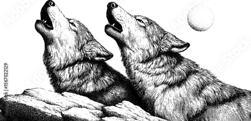 Wolves howling on snowy mountain ridge beneath moonlit sky - retro hand drawn engraving
