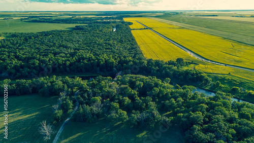 Aerial photo of a dense forest next to vast green and yellow agricultural fields at sunset. Stunning rural landscape.