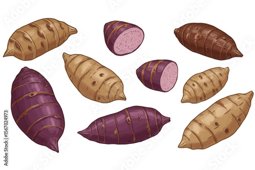 Delightful botanical art featuring a variety of sweet potatoes, perfect for a health-focused design or organic produce marketing material.