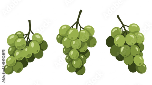 Fresh green grapes clusters design showing simple stylized grapes suitable for food packaging or healthy eating themed designs.