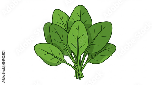 Fresh spinach bunch design provides a vibrant graphic for food blogs, healthy recipes, or branding, bringing a touch of nature's goodness.