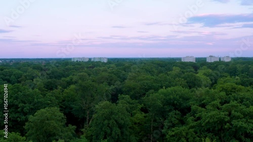 This aerial drone clip performs a slow vertical rise above a dense tree canopy toward distant residential high-rises set against a soft pink horizon. The footage emphasizes urban-nature transition, gr