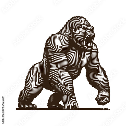 gorilla line drawing - guilloche style (artwork 1)