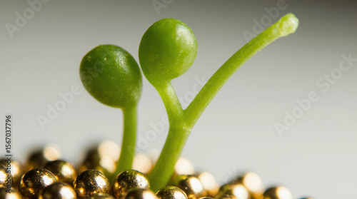 Vibrant green plant emerging from golden beads on white backdrop. Perfect metaphor for investment in nature, eco-innovation, or premium sustainable development projects.