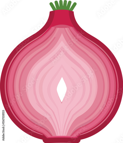 Red onion cross section isolated on white background
