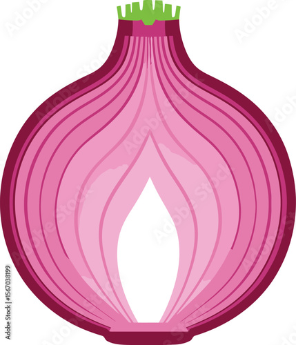 Red onion cross section isolated on white background