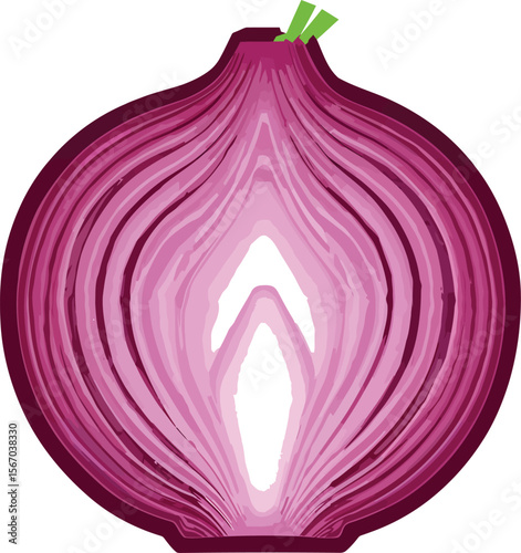 Red onion cross section isolated white background culinary vegetable