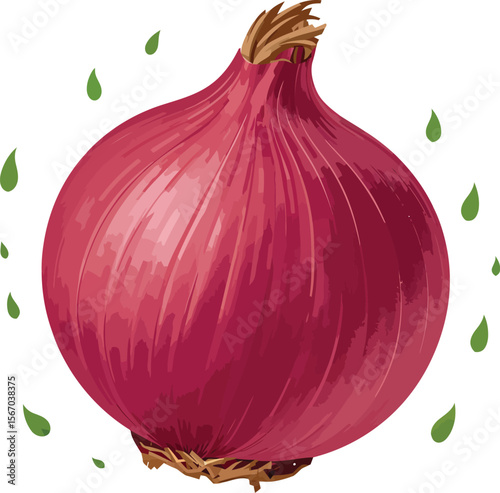 Fresh red onion isolated on white background vegetable