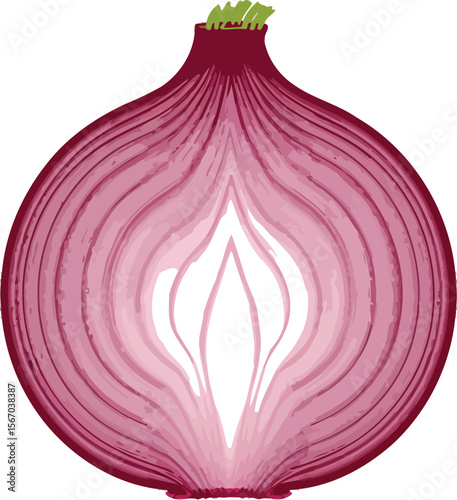 Red onion halved isolated on white background culinary ingredient