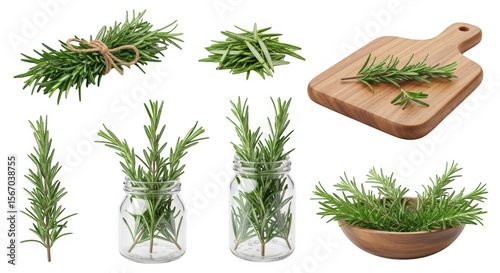 Fresh Rosemary Sprigs and Leaves on a Wooden Cutting Board and in Jars for Culinary Use, isolated on a transparent background