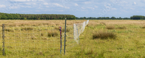Wolf repellent grid at herb grass land to make sure farm animals cannot bet attacked by wolves