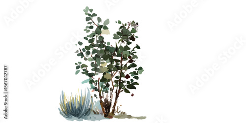 Ornamental grasses collection.  plume-like flowers on an isolated transparent background