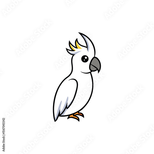 Colorful Cockatoo Bird Vector on White Base