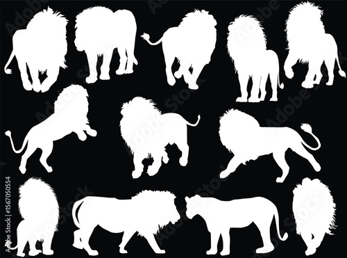 twelve black lions isolated on black backgroundten white lions isolated on white background