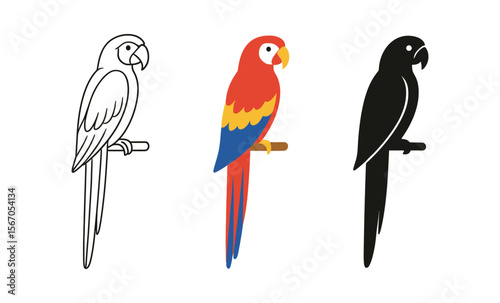 Parrot design variations: line art, colorful, silhouette - creative bird illustrations